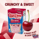 Toast'em Frosted Cherry 288g