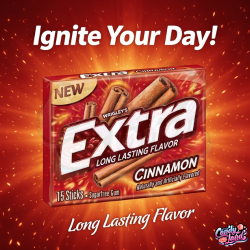 Wrigley's Extra Cinnamon Gum 15 Piece Slim Pack - scortisoara 41g