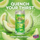 Fanta (JAPAN) Melon Slim Can 250ml