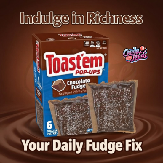 Toast'em Frosted Chocolate Fudge 288g