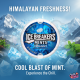 Ice Breakers Cool Mint - gumă cu gust de mentă 42g