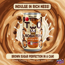 Boba Cat Milk Brown Sugar Tapioca Bubble Tea 315ml TWN