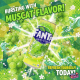 Fanta (JAPAN) Shine Muscat Grape 500ml