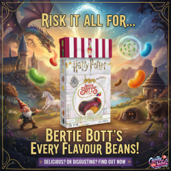 Jelly Belly Harry Potter Bertie Bott's Every Flavour Beans 35g