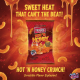 Herr's Baked Hot n Honey Cheese Curls 170g