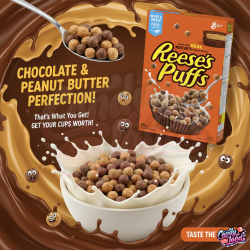 General Mills Reese's Puffs Cereal 326g (CANADA)  