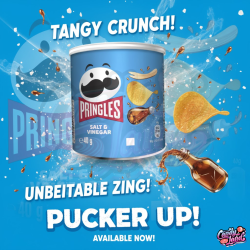 Pringles Salt & Vinegar 40g