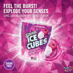 Ice Breakers Ice Cubes Raspberry Sorbet - zmeură 92g