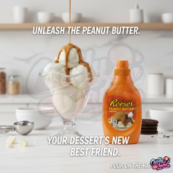 Reese's Peanut Butter Syrup Topping 198g Reese's Peanut Butter Syrup Topping 198g