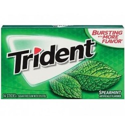 Trident Spearmint Flavored Gum 14 sticks (EXP 02.03.2024)