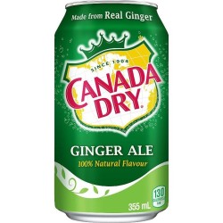 Canada Dry Ginger Flavored Ale 355ml (EXP 29.02.2024)